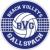 Logo für Beach Volleys Gallspach